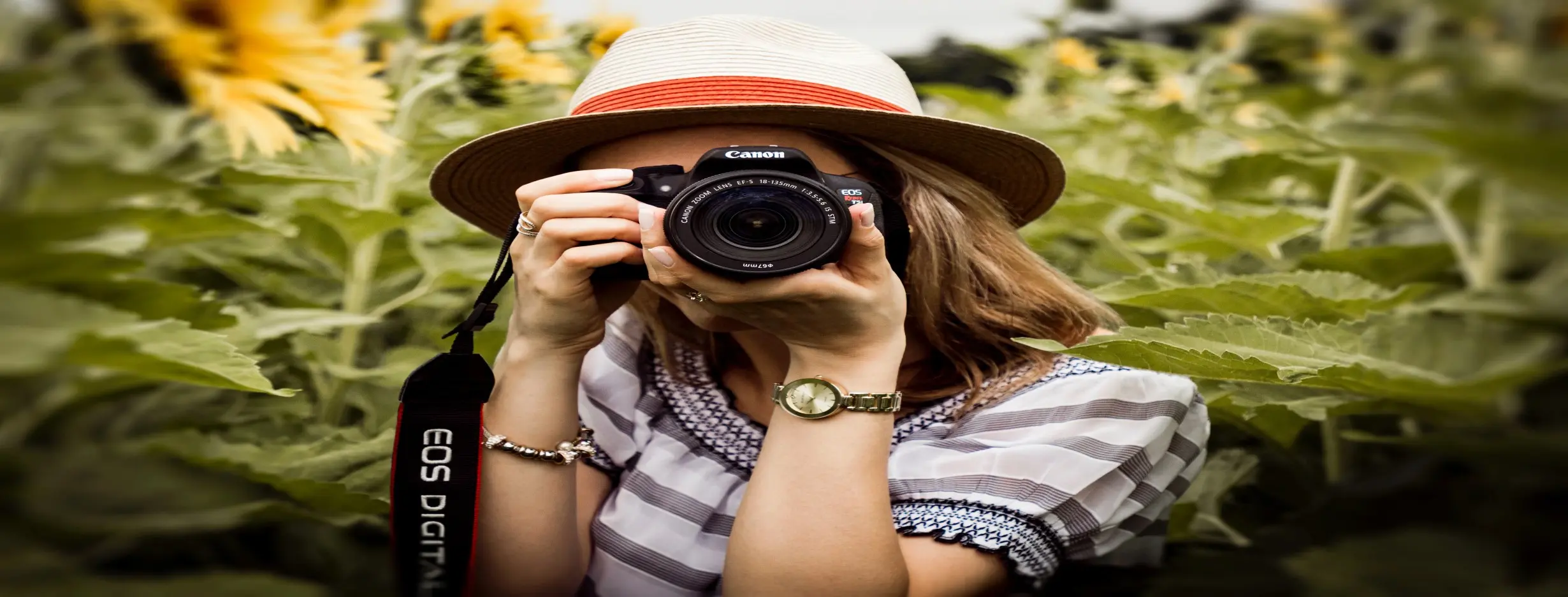 Image for Photography Expedition